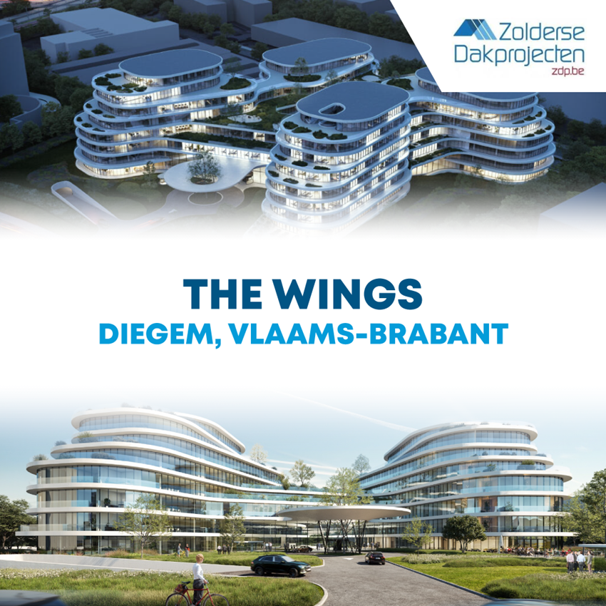 The Wings, Diegem
